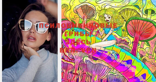mdpv Гусь-Хрустальный