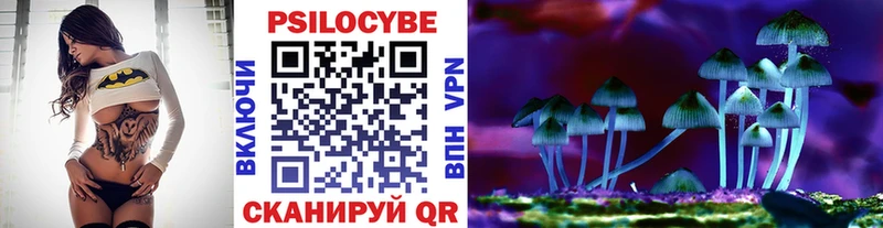 Купить закладки  Жердевка  Псилоцибиновые грибы Psilocybe 